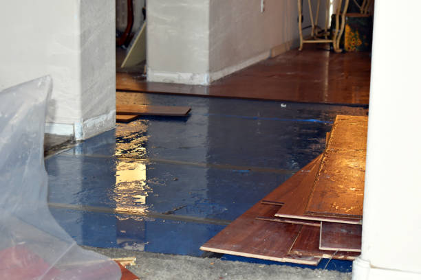 Professional Basement Flood Cleanup technician working in Lincoln, MO